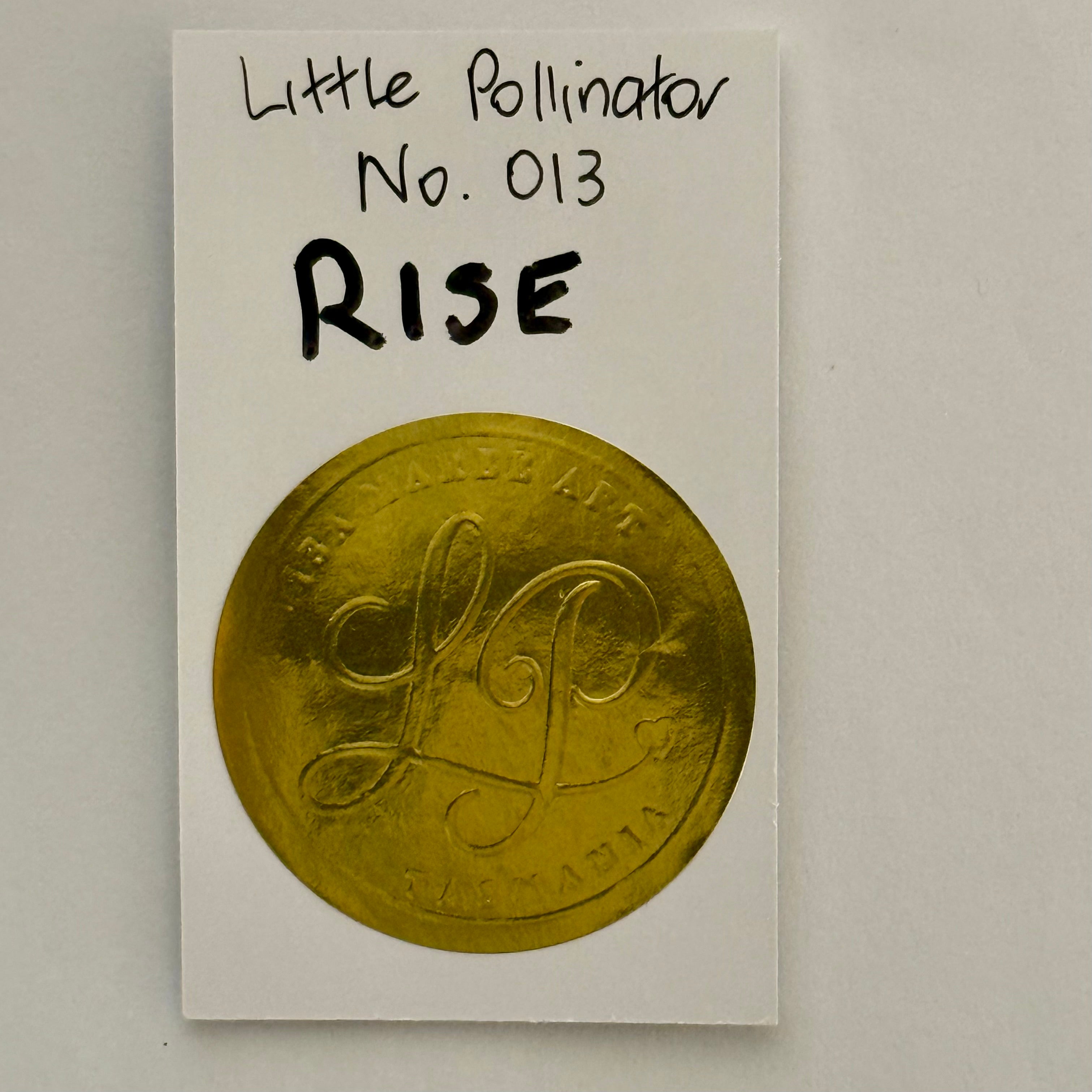 Little Pollinator No. 013 Rise