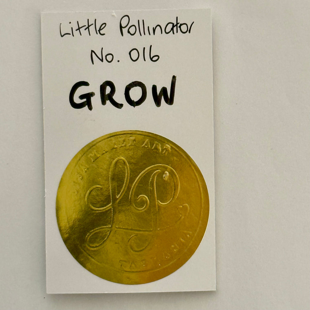 Little Pollinator No. 016 Grow