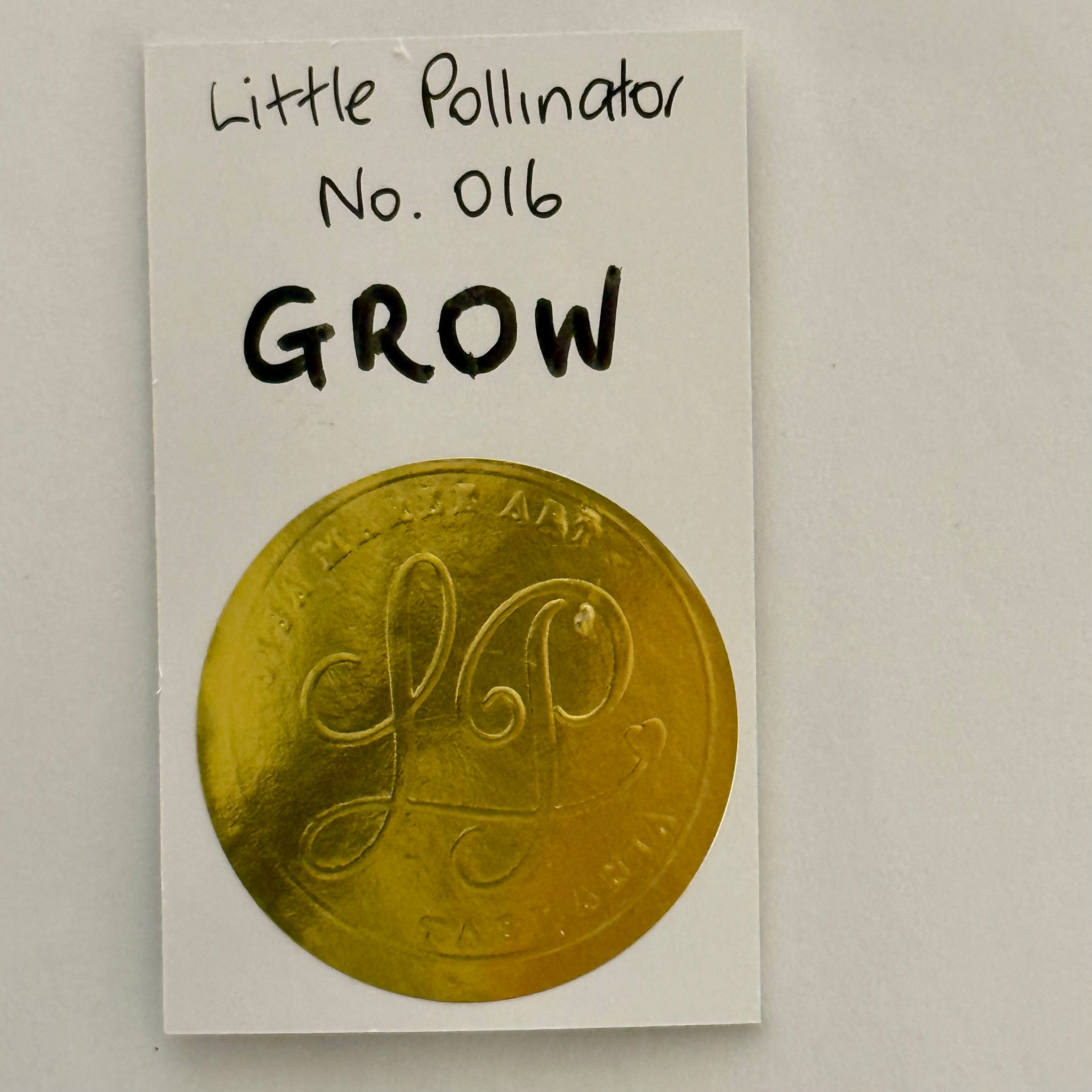 Little Pollinator No. 016 Grow