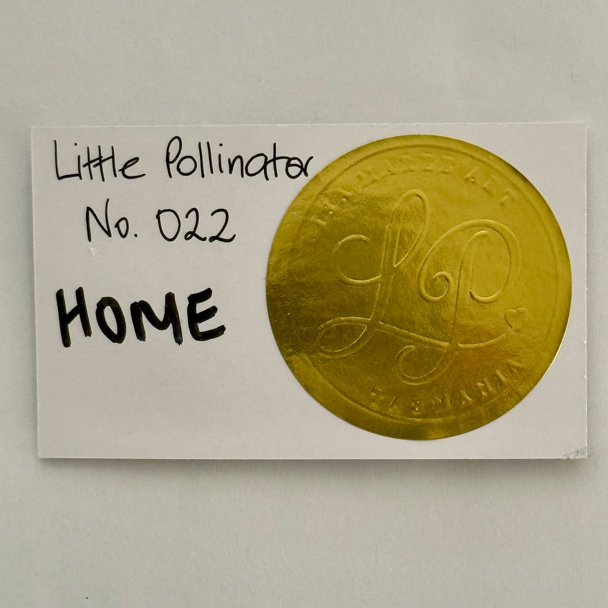 Little Pollinator No. 022 Home
