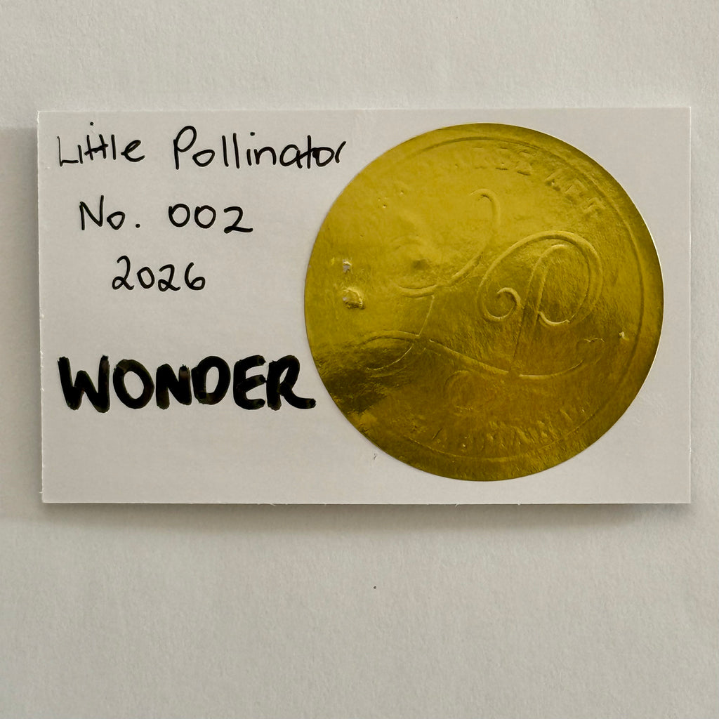 Little Pollinator No. 002 Wonder