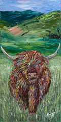 Scotty the Highland Cow