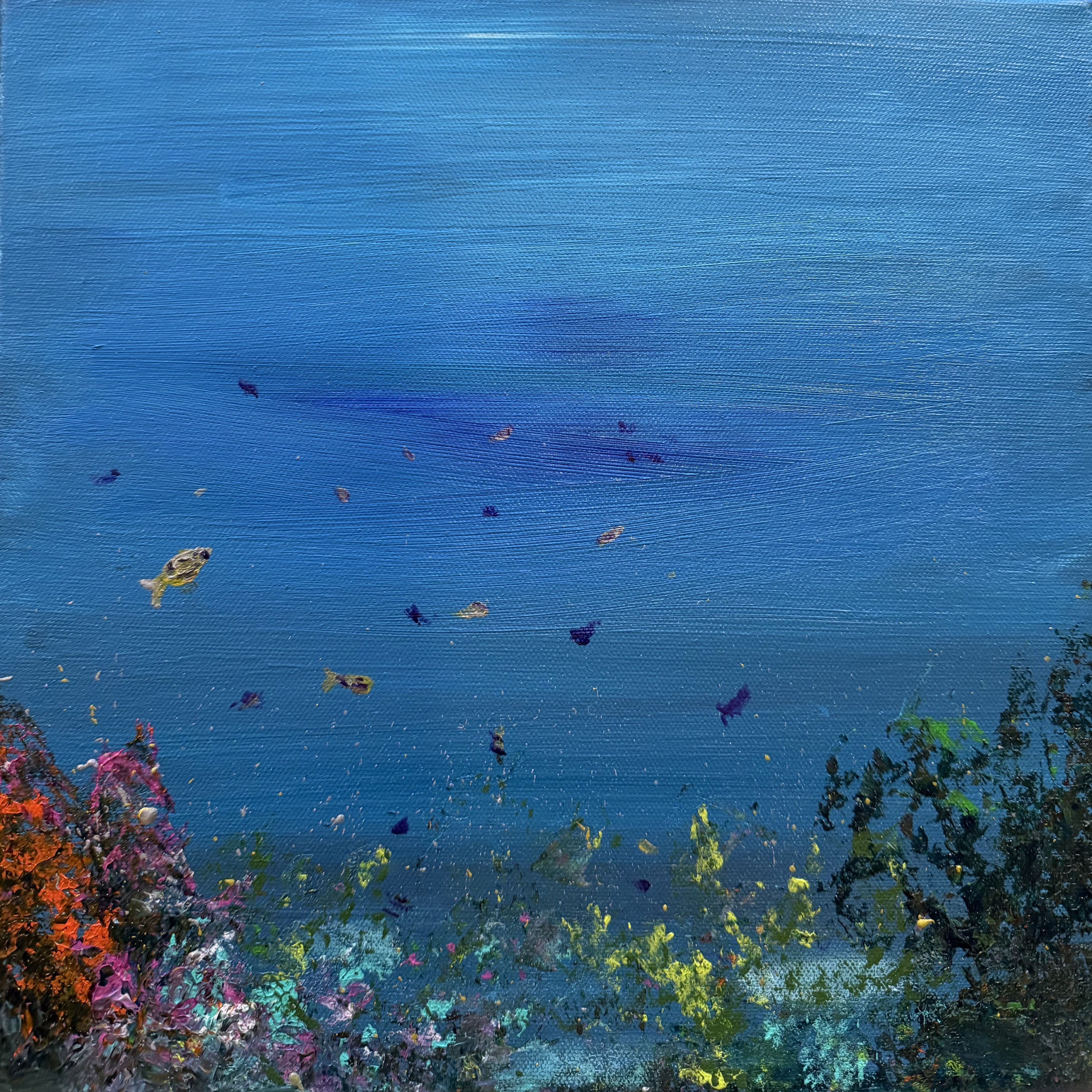 Into the Blue